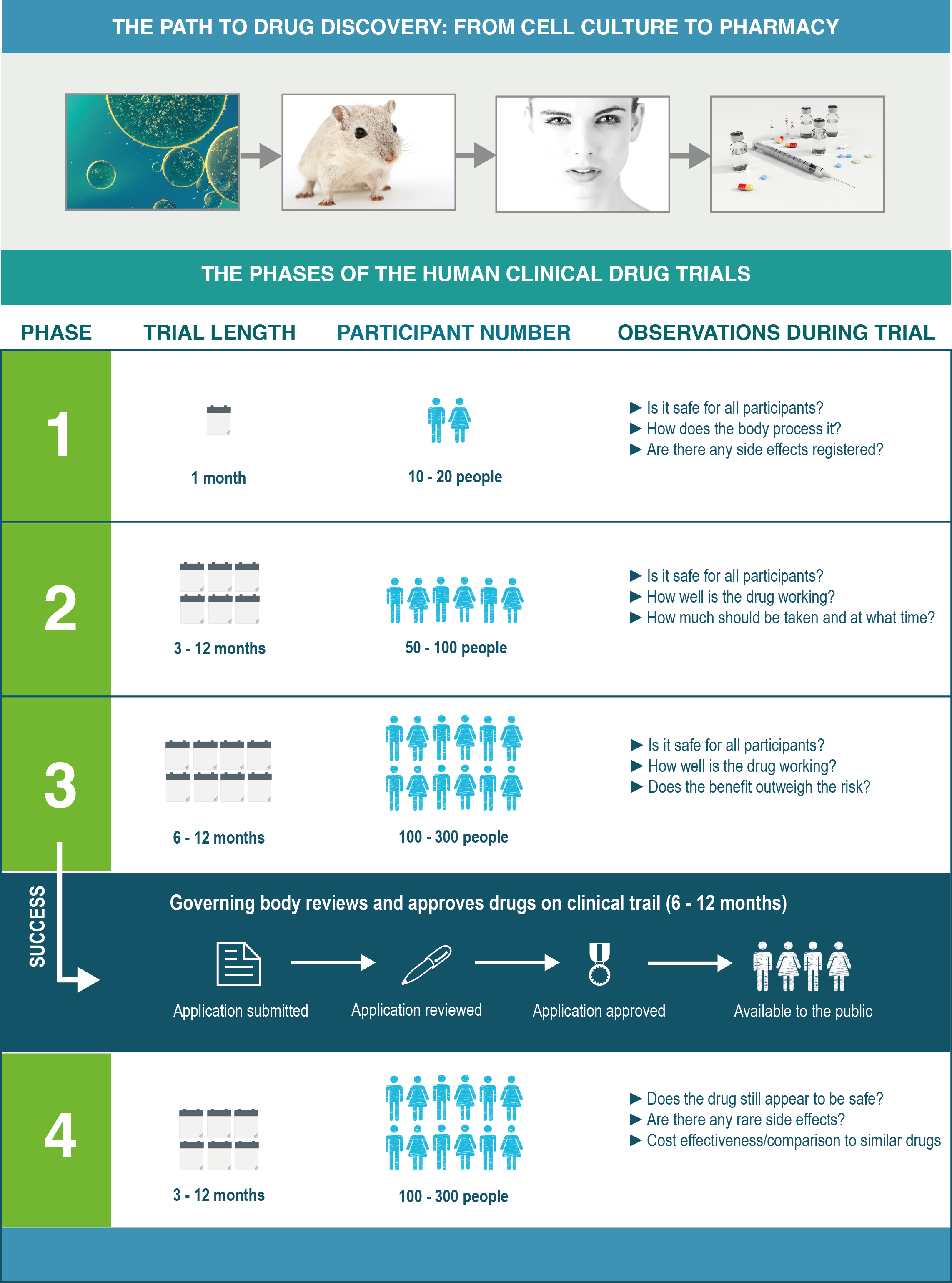 Path to drug discovery